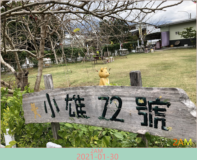 3.jpg - NO.110 台東池上小熊72號營地(2021.1.30~31)